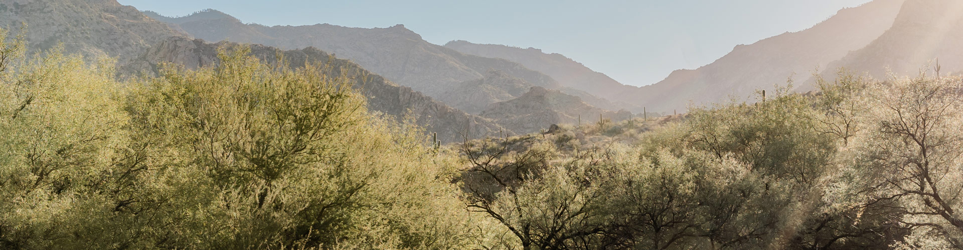 Tucson Ayurveda desert