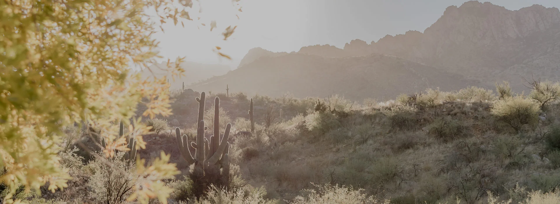 Tucson Ayurveda Vajrayurveda